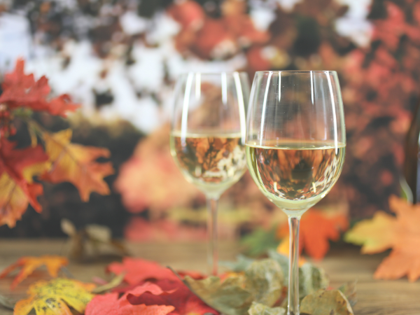 two glasses of white wine amongst colourful fall leaves